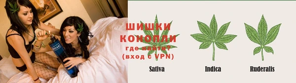 трава Алексин